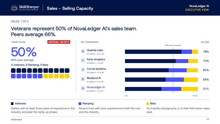 Sample slide: Sales, Selling Capacity